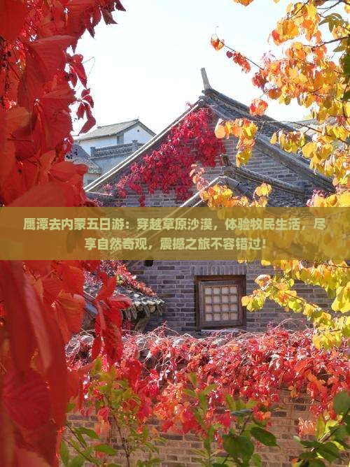 鹰潭去内蒙五日游