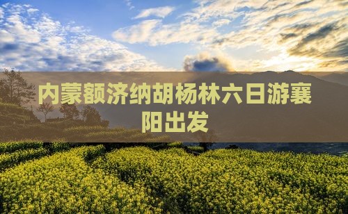 襄阳去内蒙额济纳胡杨林六日游