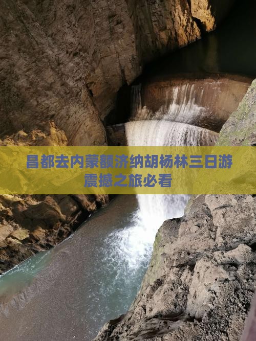 昌都去内蒙额济纳胡杨林三日游