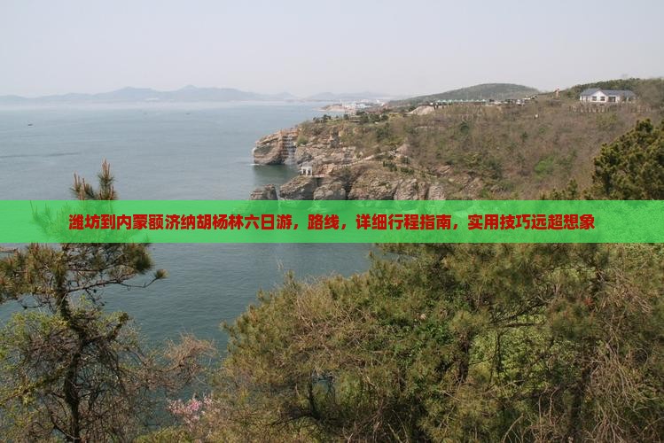 潍坊到内蒙额济纳胡杨林六日游