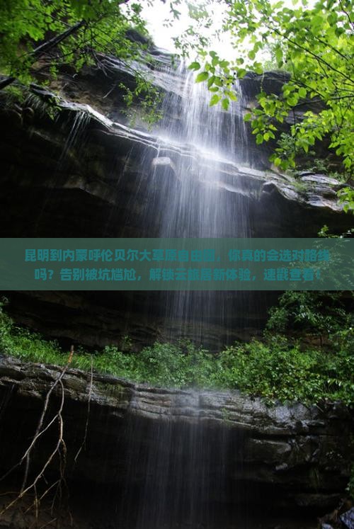 昆明到内蒙呼伦贝尔大草原自由团