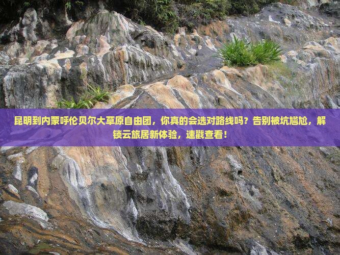 昆明到内蒙呼伦贝尔大草原自由团