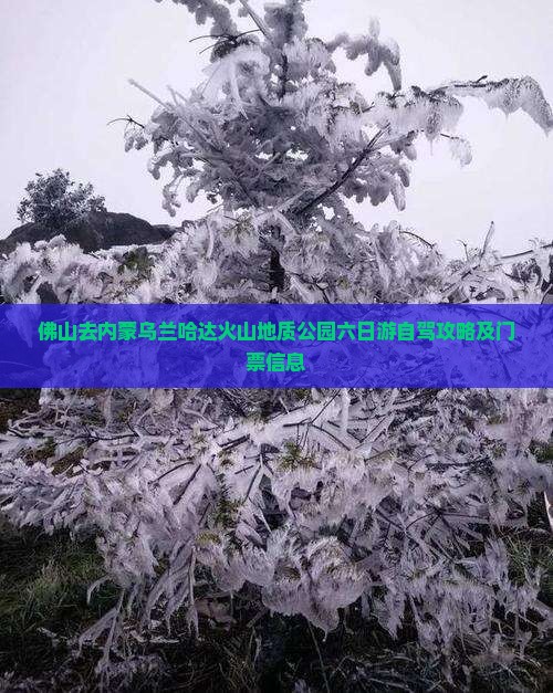 佛山去内蒙乌兰哈达火山地质公园六日游
