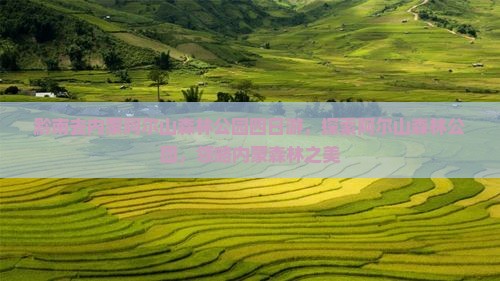 黔南去内蒙阿尔山国家森林公园四日游