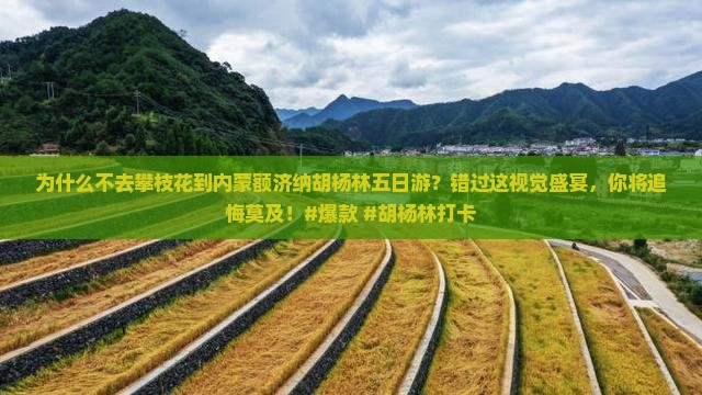 攀枝花到内蒙额济纳胡杨林五日游