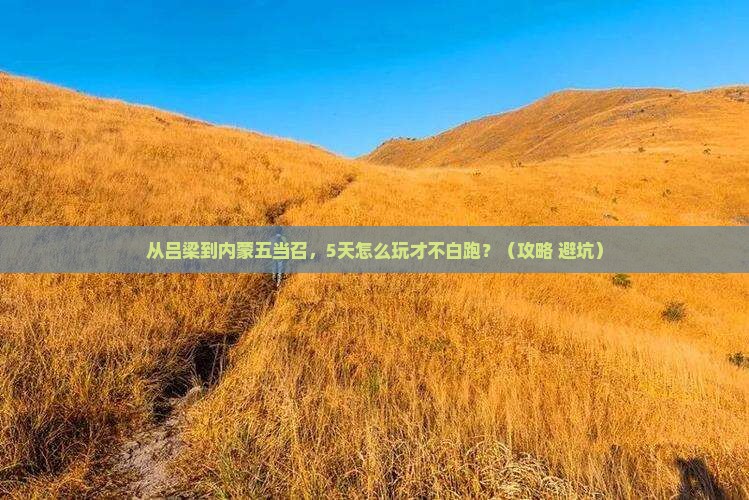 吕梁去内蒙五当召哪里玩