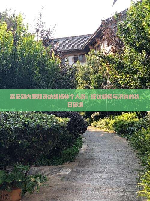 泰安到内蒙额济纳胡杨林个人游