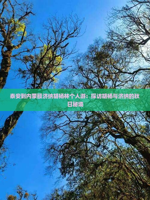 泰安到内蒙额济纳胡杨林个人游