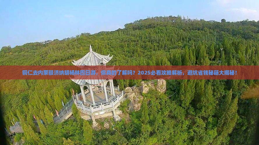 铜仁去内蒙额济纳胡杨林四日游