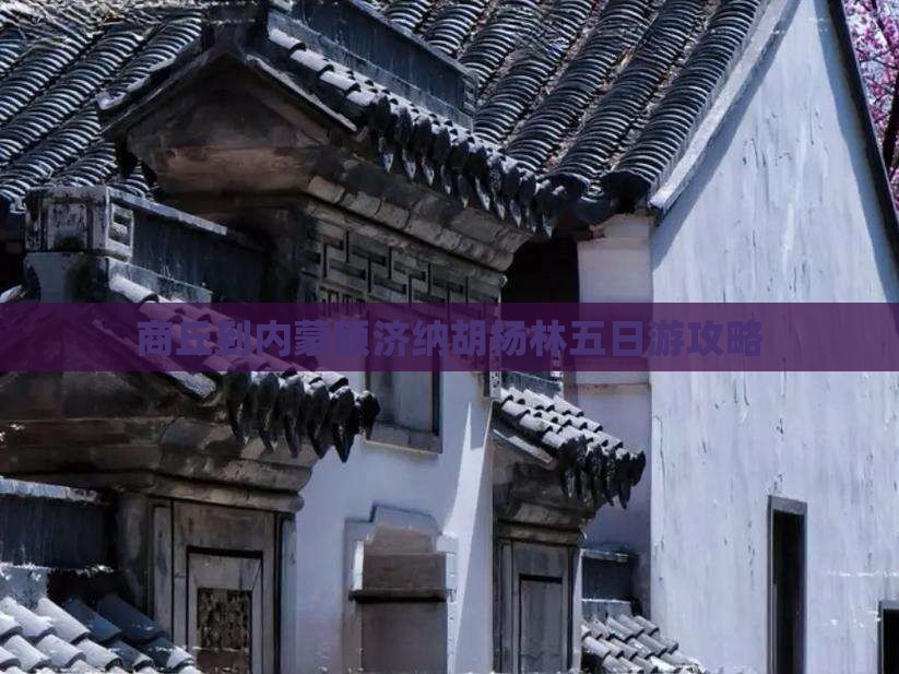 商丘到内蒙额济纳胡杨林五日游