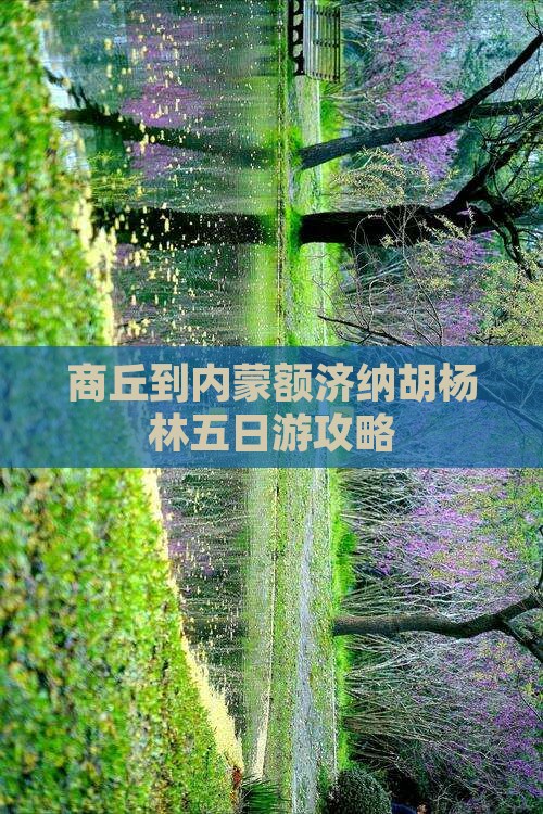 商丘到内蒙额济纳胡杨林五日游