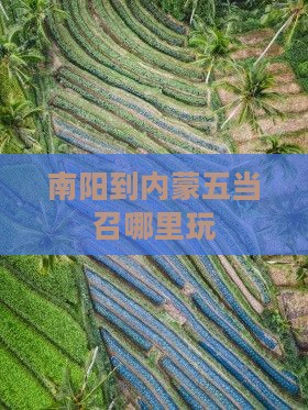 南阳到内蒙五当召哪里玩