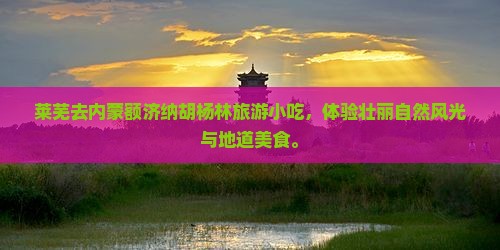莱芜去内蒙额济纳胡杨林旅游小吃