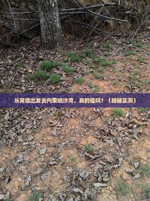 常德到内蒙响沙湾景点