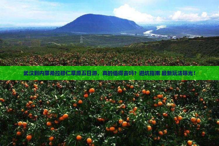 武汉到内蒙希拉穆仁草原五日游