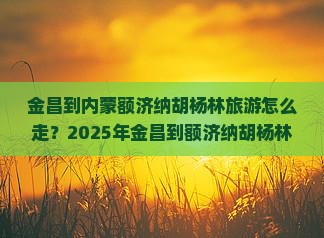金昌到内蒙额济纳胡杨林旅游