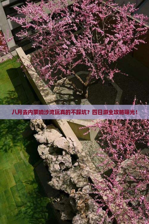 八月到内蒙响沙湾四日游