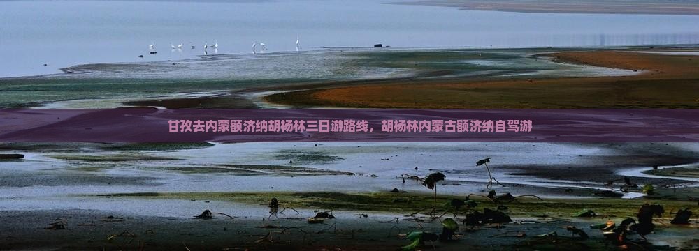 甘孜去内蒙额济纳胡杨林三日游