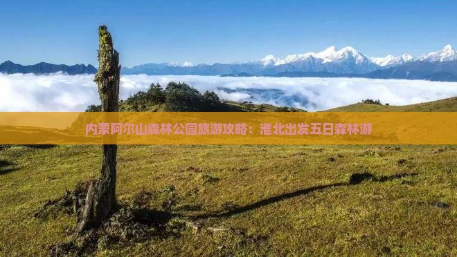 淮北到内蒙阿尔山国家森林公园五日游