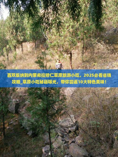 西双版纳到内蒙希拉穆仁草原旅游小吃