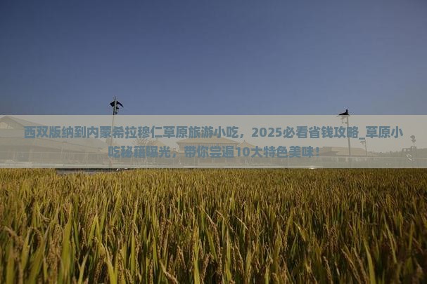 西双版纳到内蒙希拉穆仁草原旅游小吃