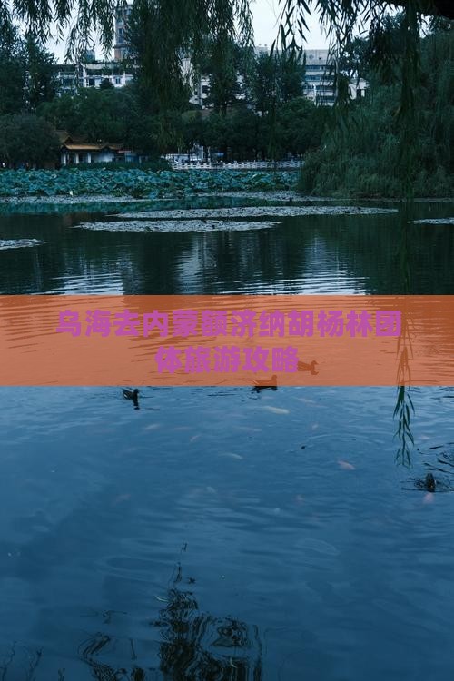 乌海去内蒙额济纳胡杨林团体旅游