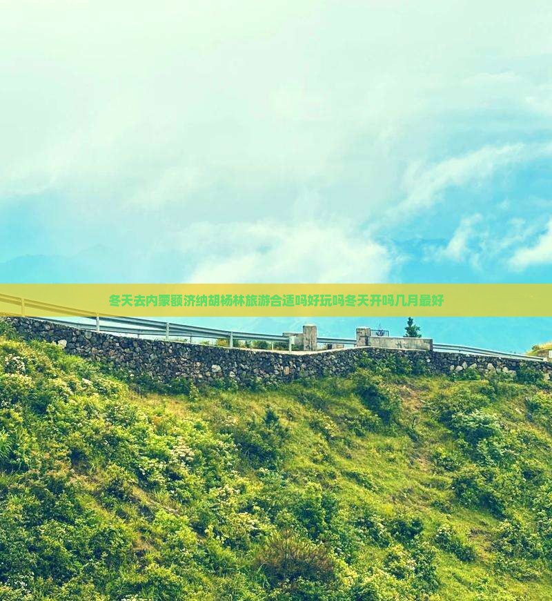 冬天去内蒙额济纳胡杨林旅游