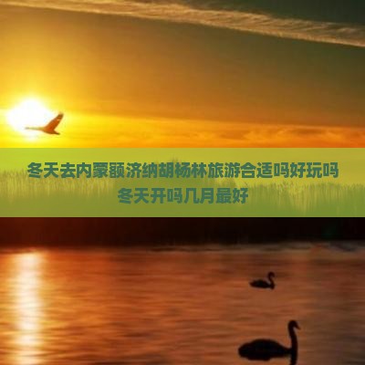 冬天去内蒙额济纳胡杨林旅游