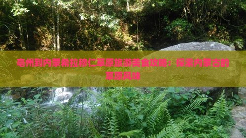 亳州到内蒙希拉穆仁草原旅游小吃
