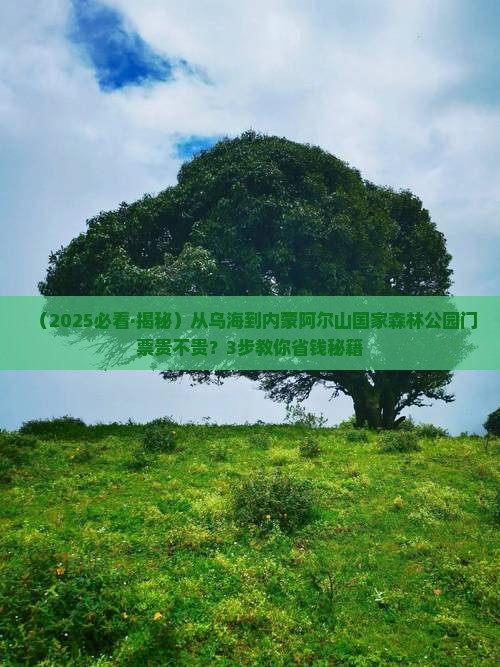 乌海市去内蒙阿尔山国家森林公园门票