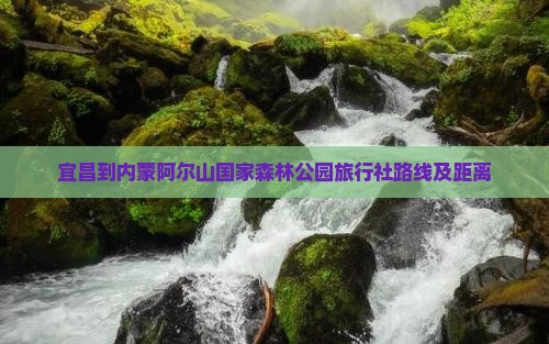 宜昌到内蒙阿尔山国家森林公园旅行社