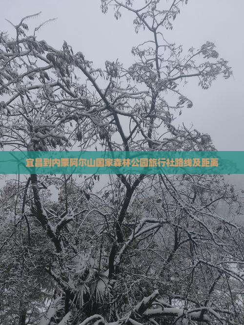 宜昌到内蒙阿尔山国家森林公园旅行社