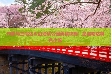 吉林去内蒙乌兰哈达火山地质公园旅游小吃