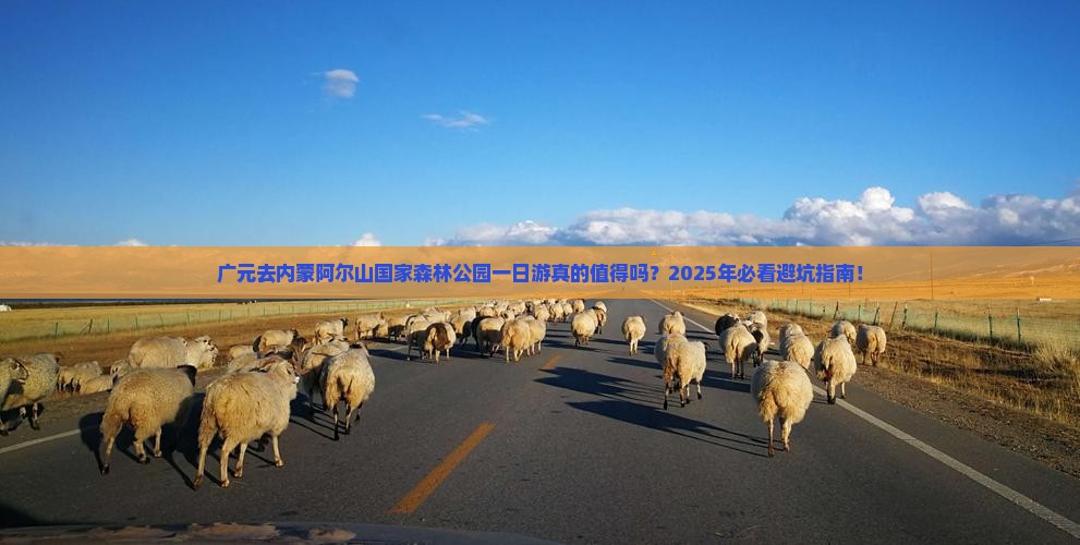 广元去内蒙阿尔山国家森林公园一日游