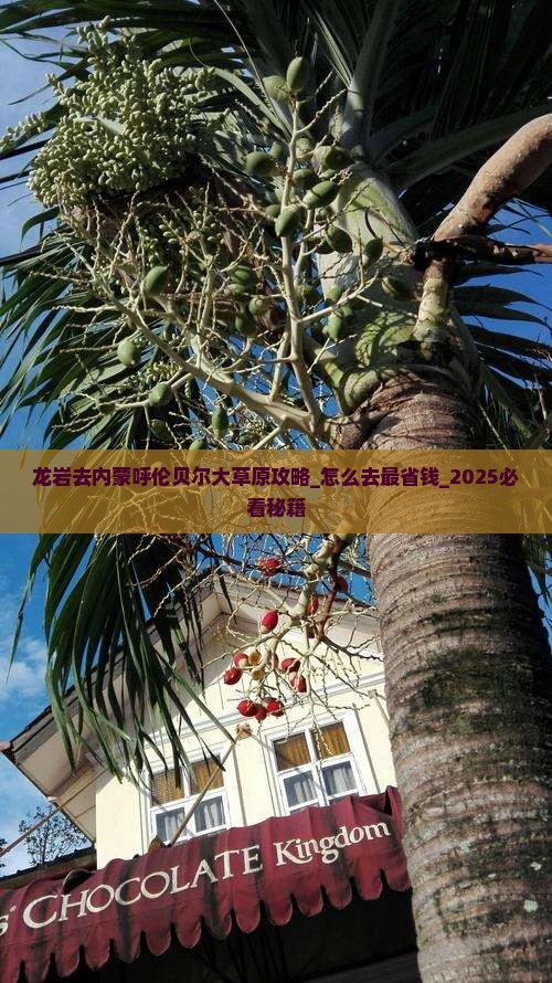 龙岩去内蒙呼伦贝尔大草原攻略