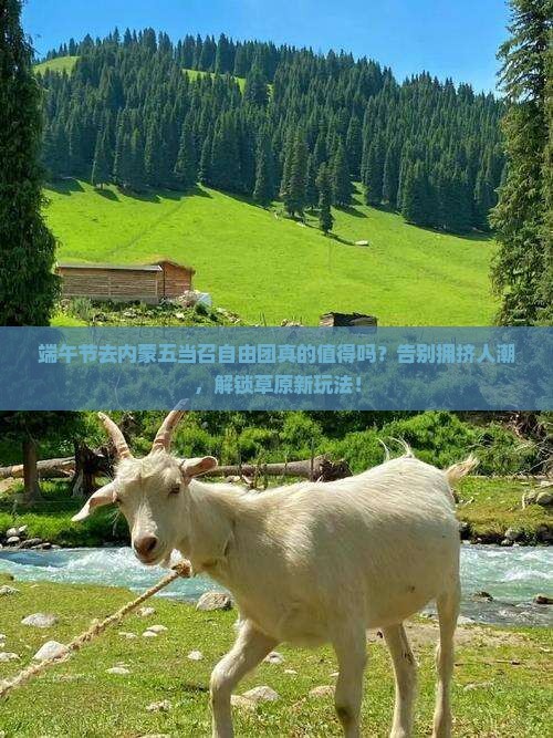 端午节去内蒙五当召自由团