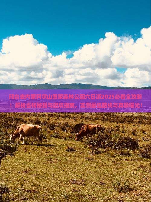 邢台去内蒙阿尔山国家森林公园六日游