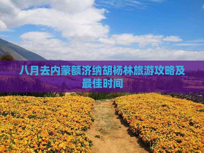 八月去内蒙额济纳胡杨林旅游