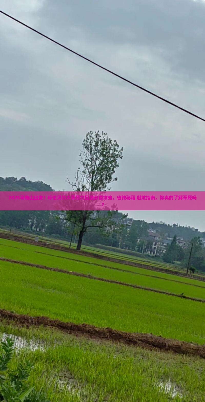 马鞍山去内蒙呼伦贝尔大草原六日游
