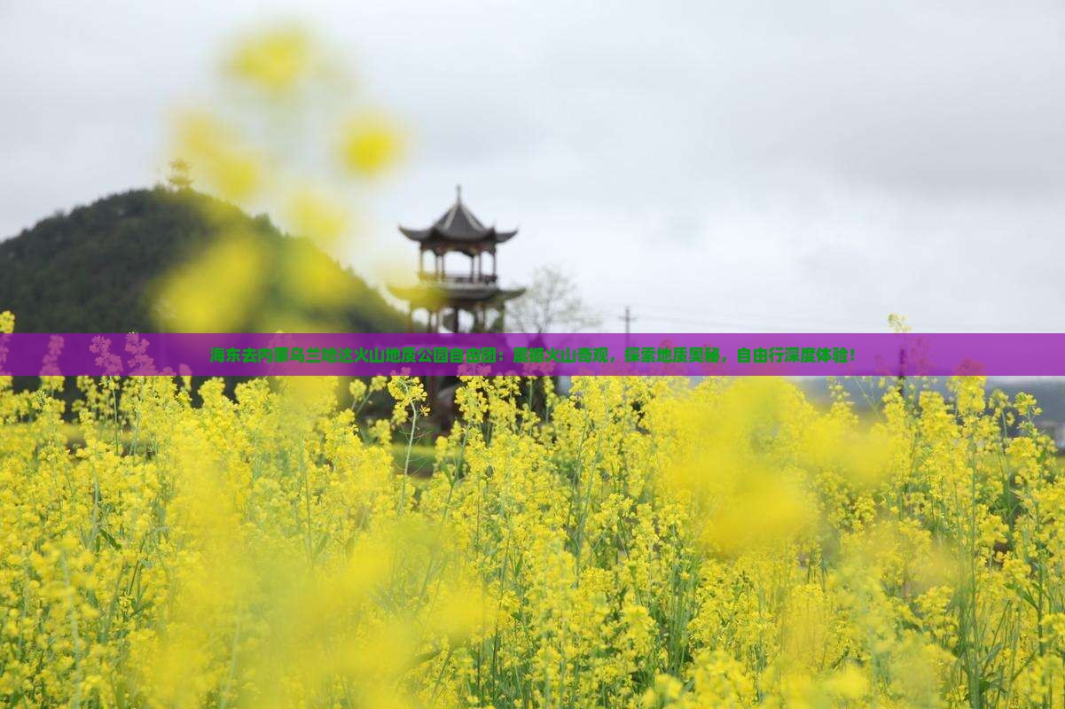 海东去内蒙乌兰哈达火山地质公园自由团