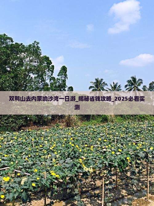 双鸭山去内蒙响沙湾一日游