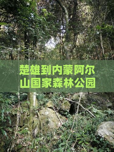 楚雄到内蒙阿尔山国家森林公园团体旅游
