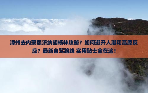 漳州去内蒙额济纳胡杨林攻略