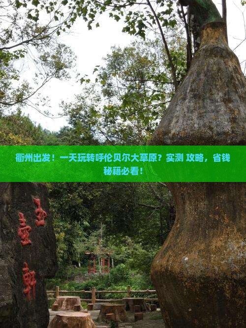 衢州到内蒙呼伦贝尔大草原一日游