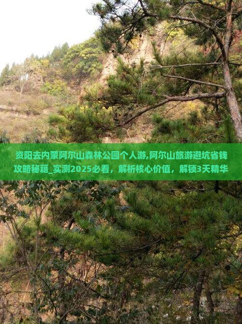 资阳去内蒙阿尔山国家森林公园个人游
