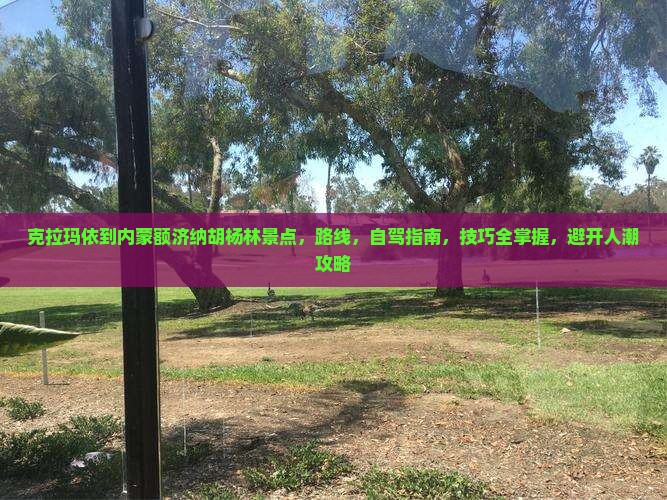 克拉玛依到内蒙额济纳胡杨林景点
