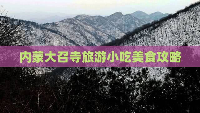 厦门到内蒙大召寺旅游小吃