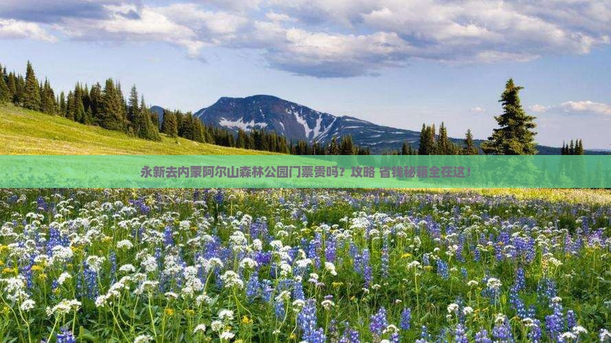 永新去内蒙阿尔山国家森林公园门票