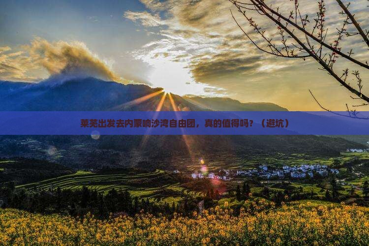莱芜到内蒙响沙湾自由团