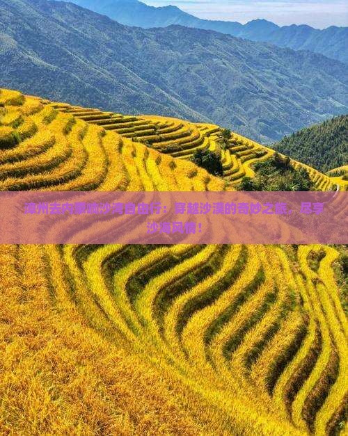 漳州去内蒙响沙湾自由行